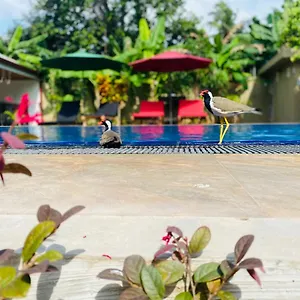 The Kingslayer , Negombo Sri Lanka